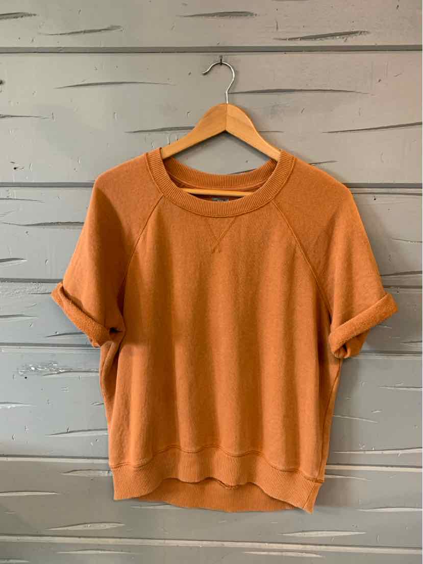 Rust-orange short-sleeve sweatshirt with rolled cuffs and crew neckline hanging on wooden hanger against gray wooden wall.