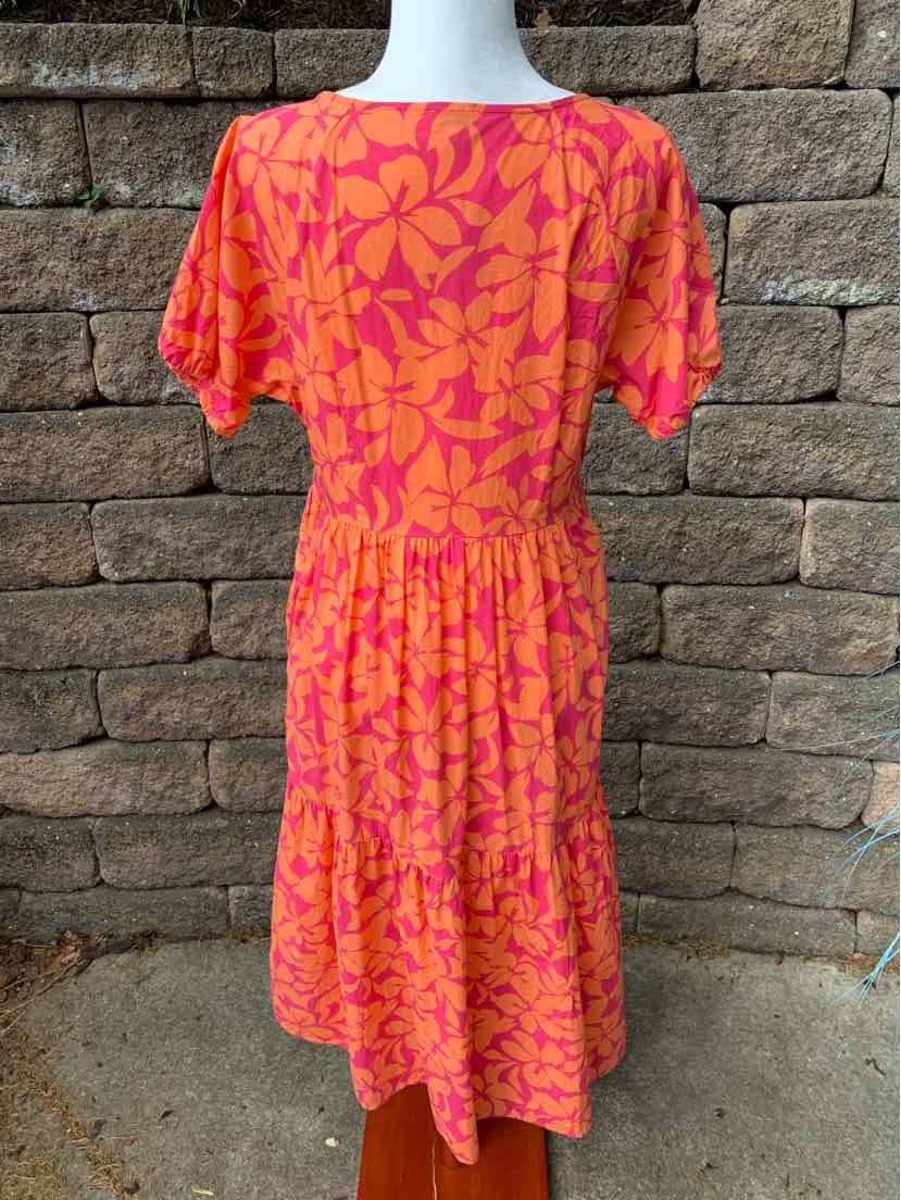 W JCREW PK Size 12 DR