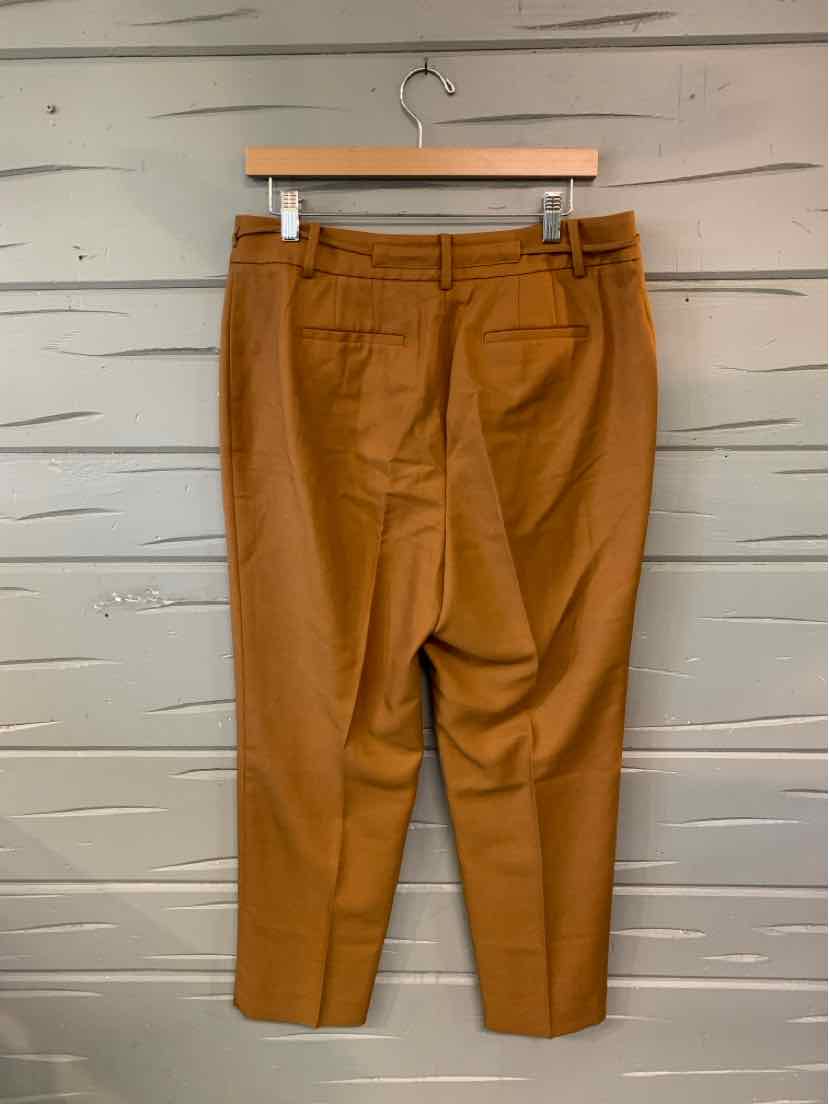 Brown tailored ankle-length pants with front pleats and belt loops, size 10P.