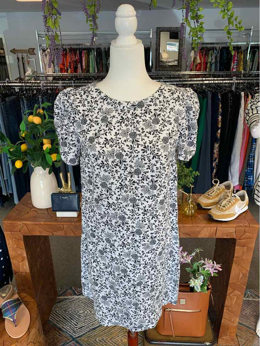 W LOFT BK Size 6 DR
