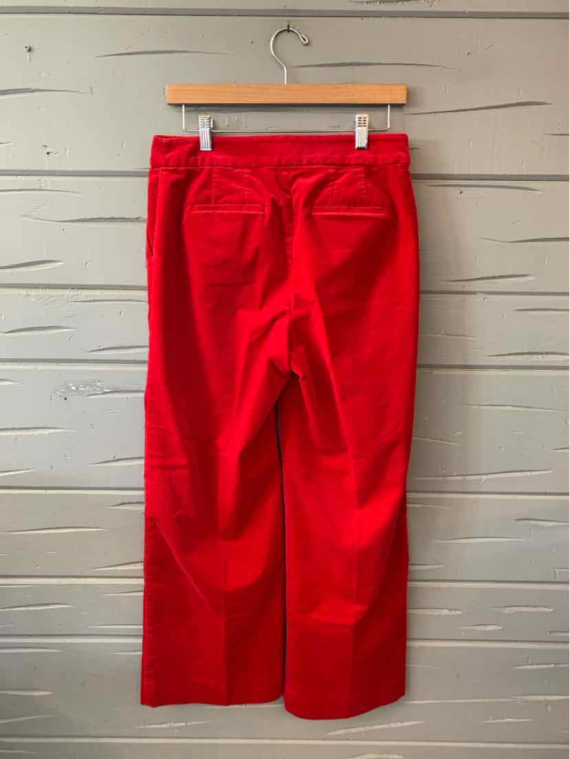 Bright red velvet pants with straight legs, size 8 petite, hanging on wooden hanger.