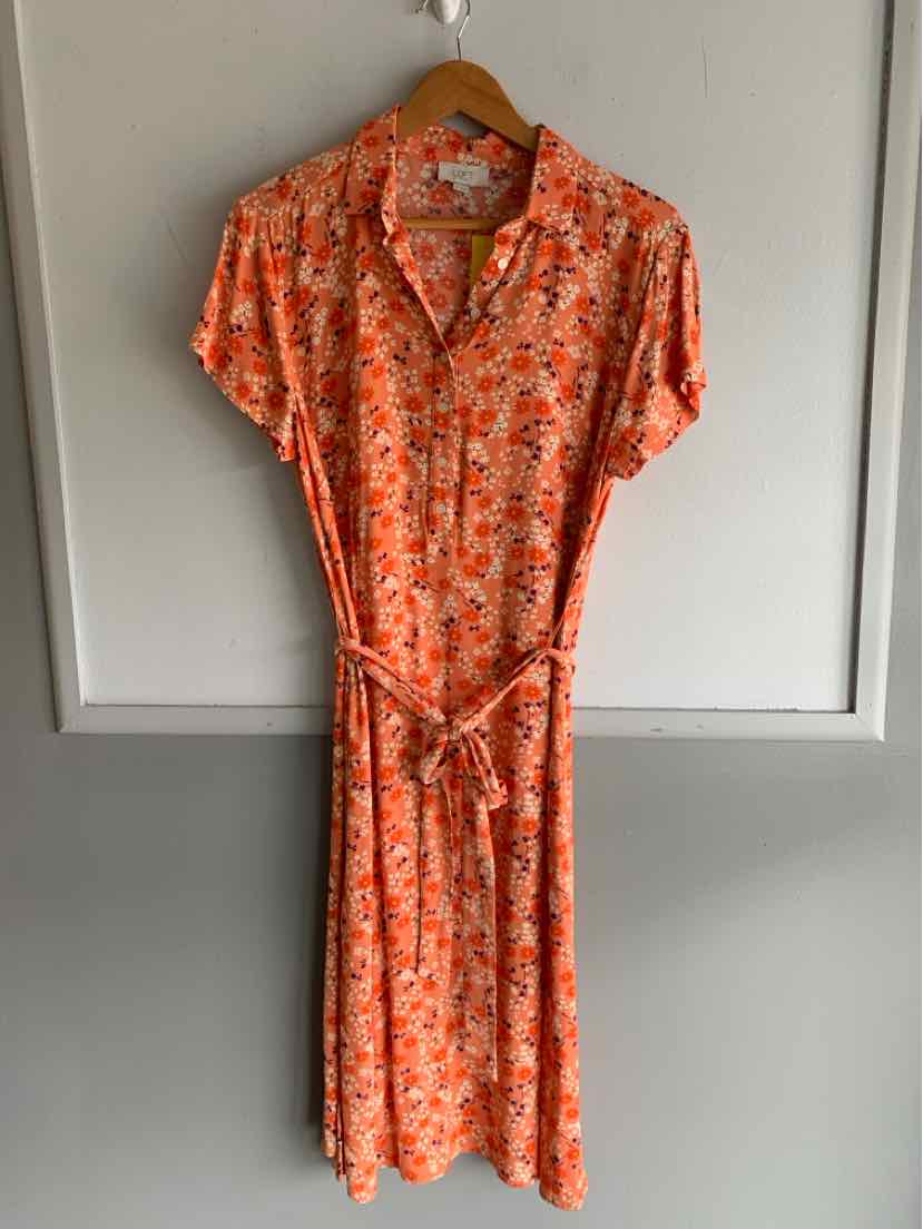 Orange floral short-sleeve wrap dress with collar and waist tie, knee-length.
