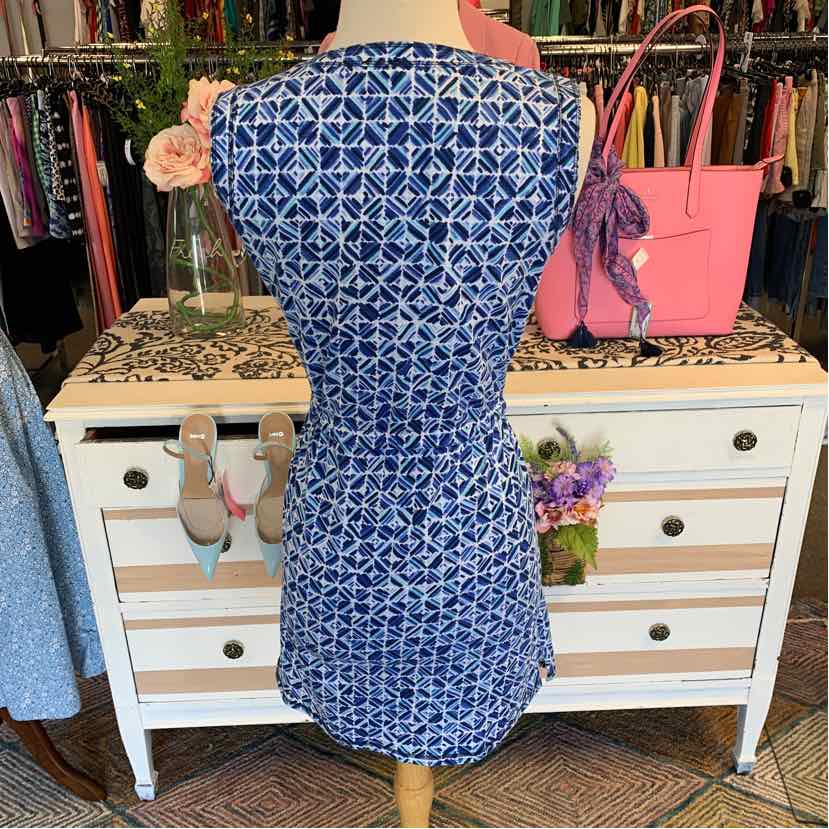 Blue and white patterned sleeveless dress with a fitted waist in size small.