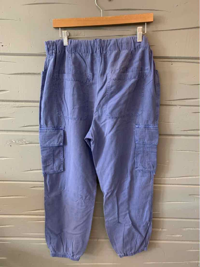 Blue casual pants with elastic waistband and cuffs, featuring side cargo pockets.