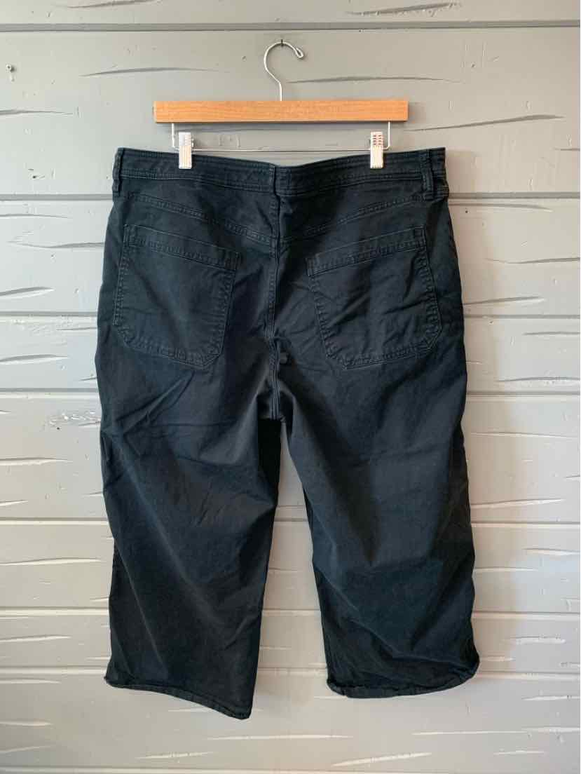 Black mid-length shorts with back pockets and a relaxed fit, size 18 from Banana Republic.