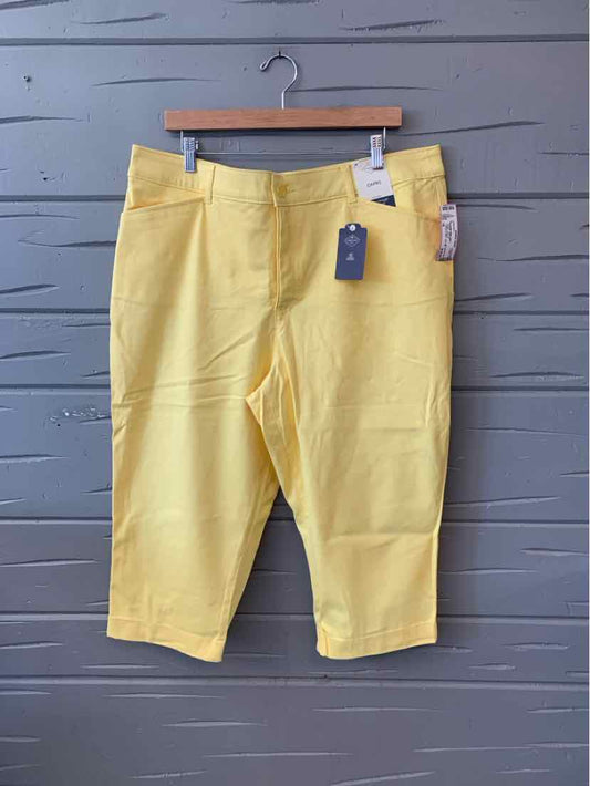 Light yellow knee-length women's shorts with front pockets and belt loops, size 18.