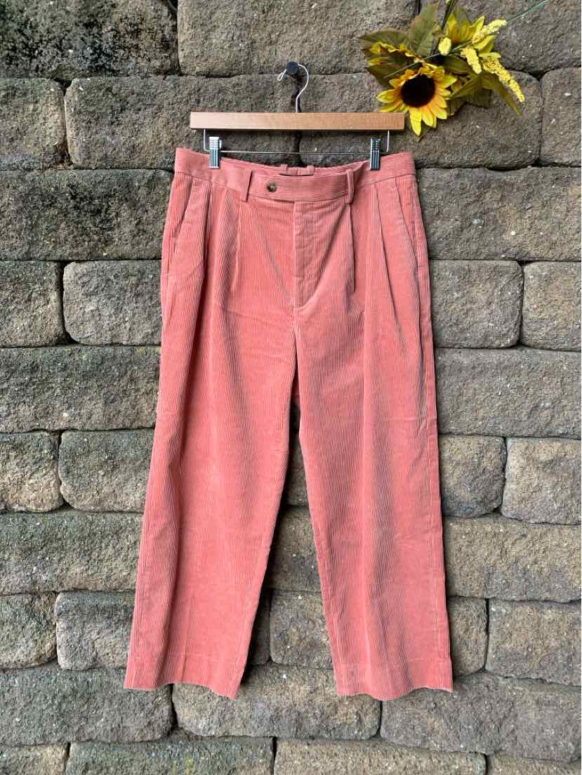 Coral pink corduroy wide-leg pants with front pleats and button closure, size 8.