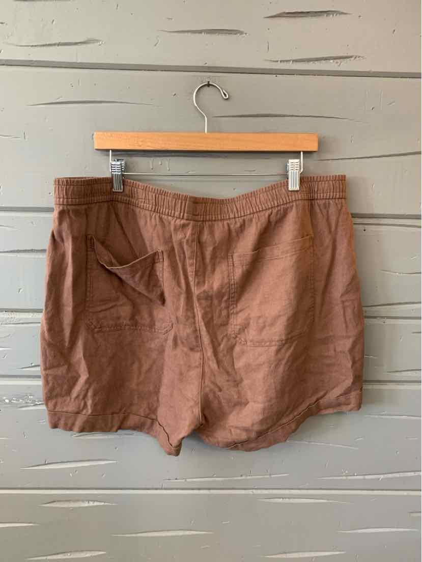 Brown solid cotton shorts with back pocket and elastic waistband, size XL.