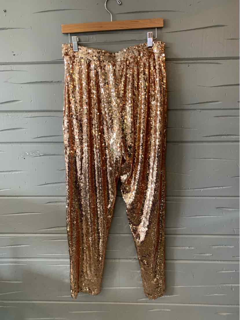 Gold sequined women's pants with tapered legs and elastic waistband hanging on wooden hanger.
