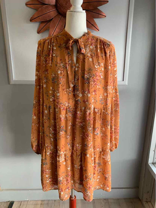 W LUXOLOGY TAN Size XL DR