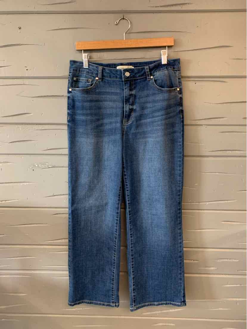 Blue denim straight-leg jeans with five-pocket design and button closure, size 10.
