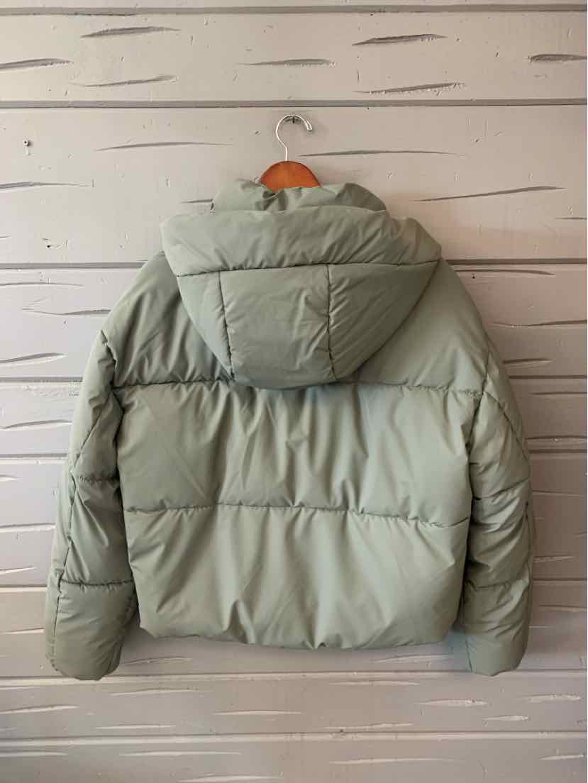 Light sage green quilted puffer jacket with a large padded hood and horizontal stitching.
