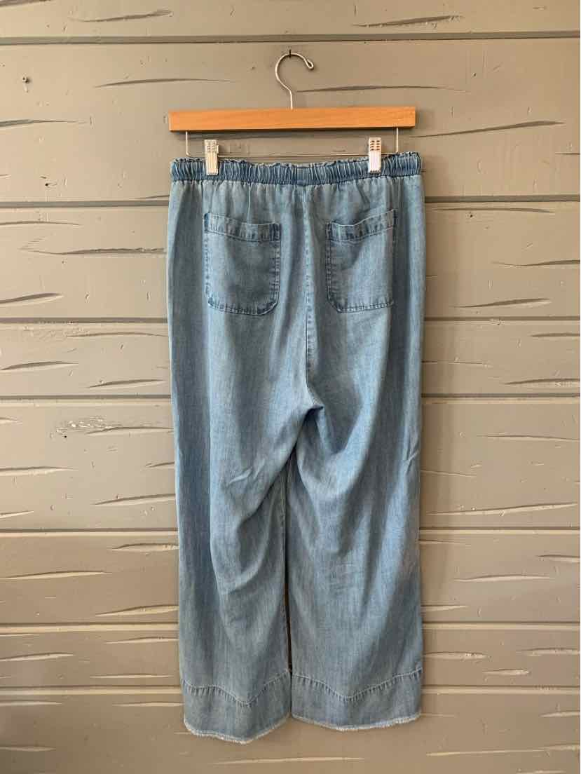 Light blue chambray wide-leg pants with elastic waistband and back patch pocket, size small.