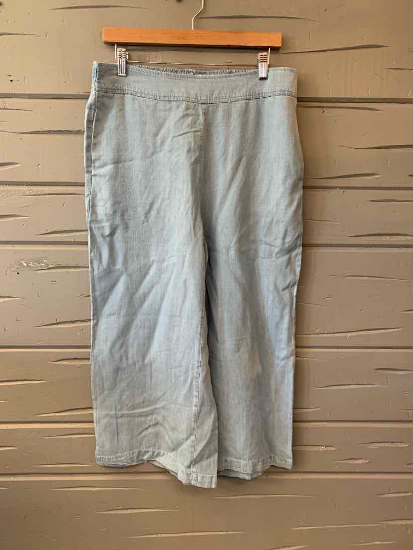 Light blue chambray wide-leg pants with high waist and front pleats, size large.