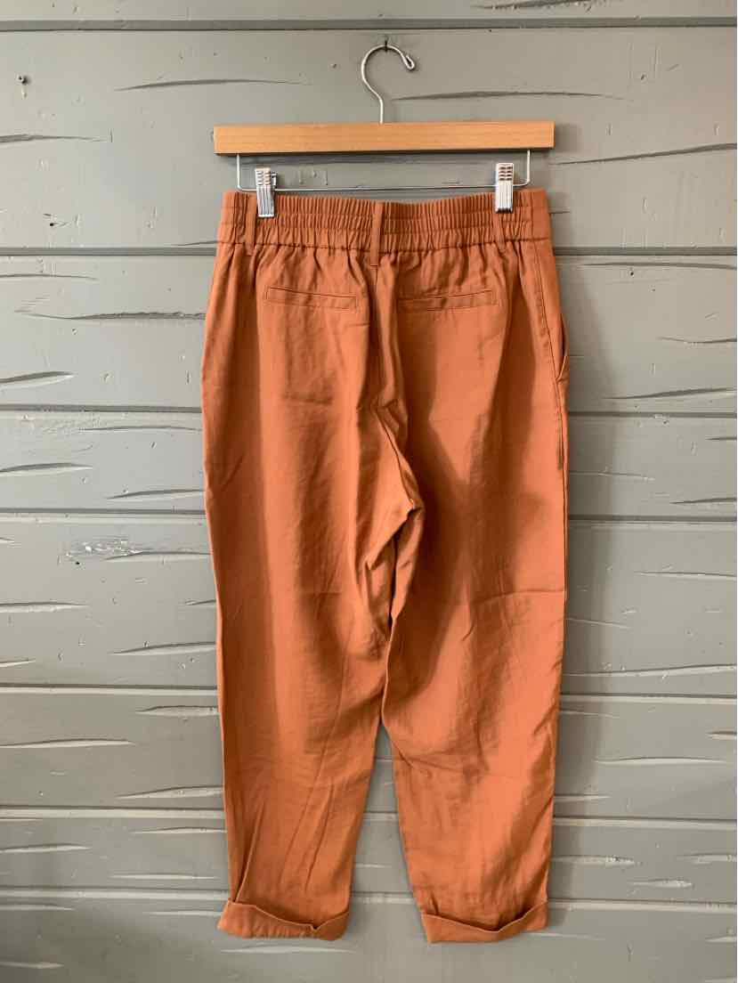 Rust-colored casual pants with elastic waistband and cuffed ankles hanging on wooden hanger against gray wooden wall.