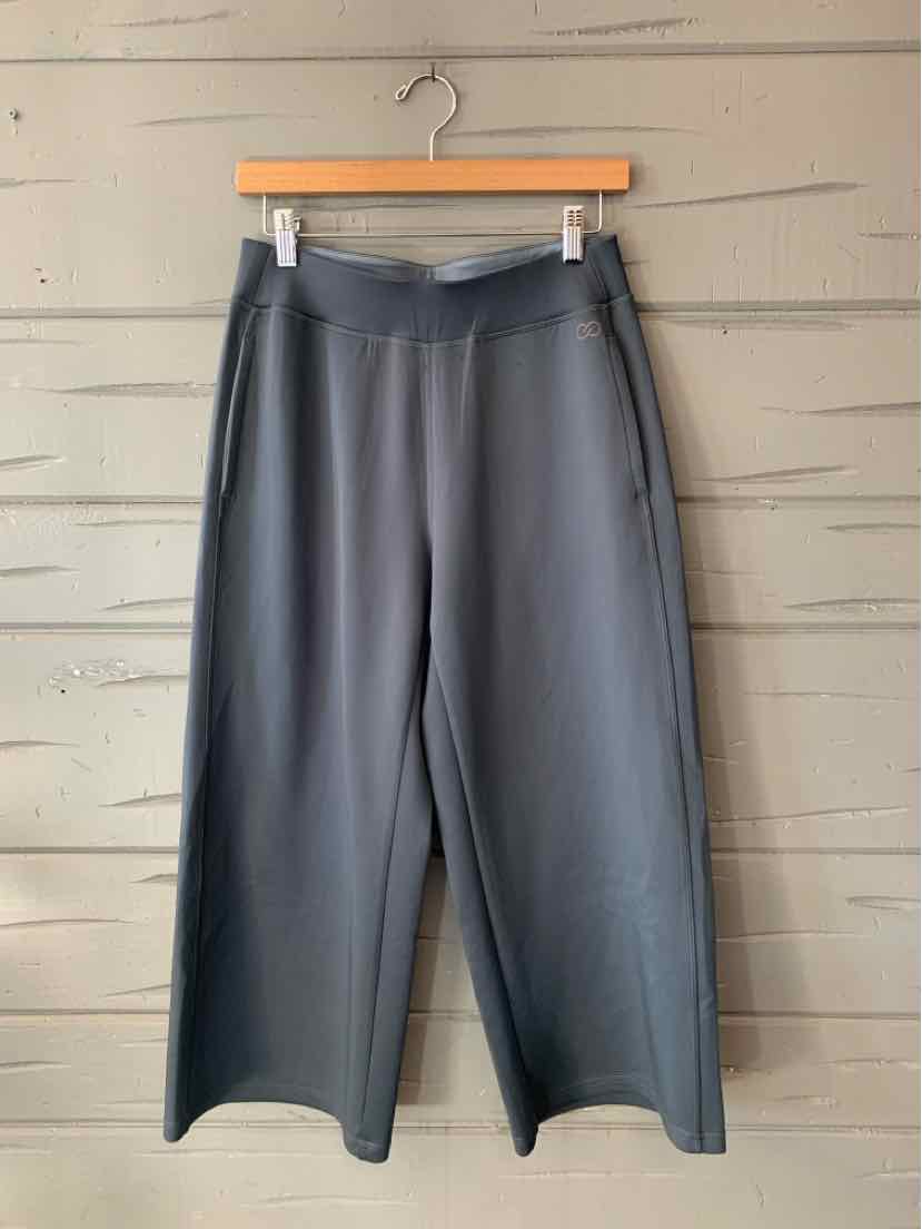 Dark gray wide-leg pants with a smooth finish, hanging from a wooden clip hanger.