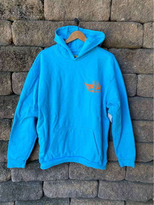 Bright blue pullover hoodie with front kangaroo pocket and small orange graphic on left chest.