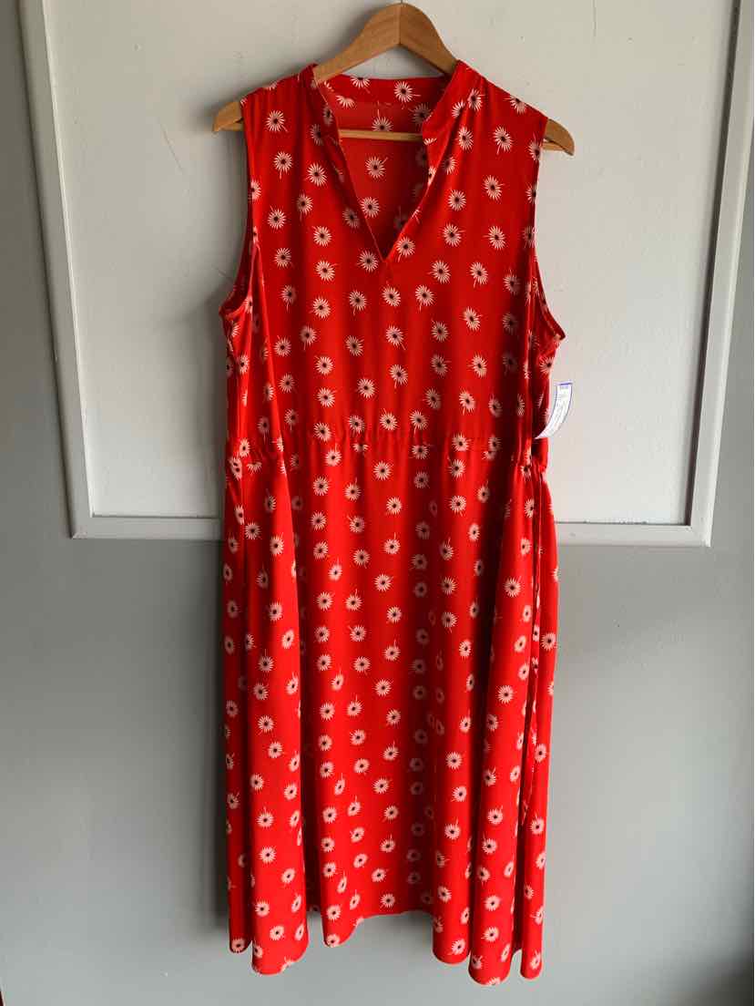 W NO LABEL RD Size XL DR