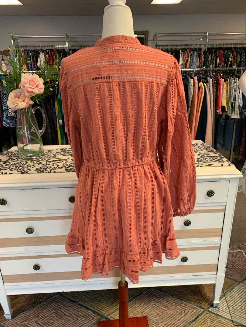Rust-colored long-sleeve dress with cinched waist and ruffled hem displayed on mannequin.
