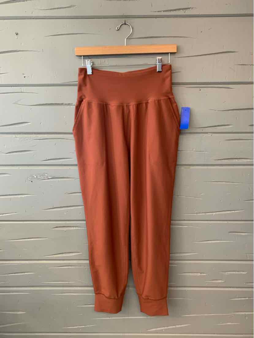 Rust-colored women’s pants with a wide waistband and tapered legs, hanging on a wooden clip hanger.