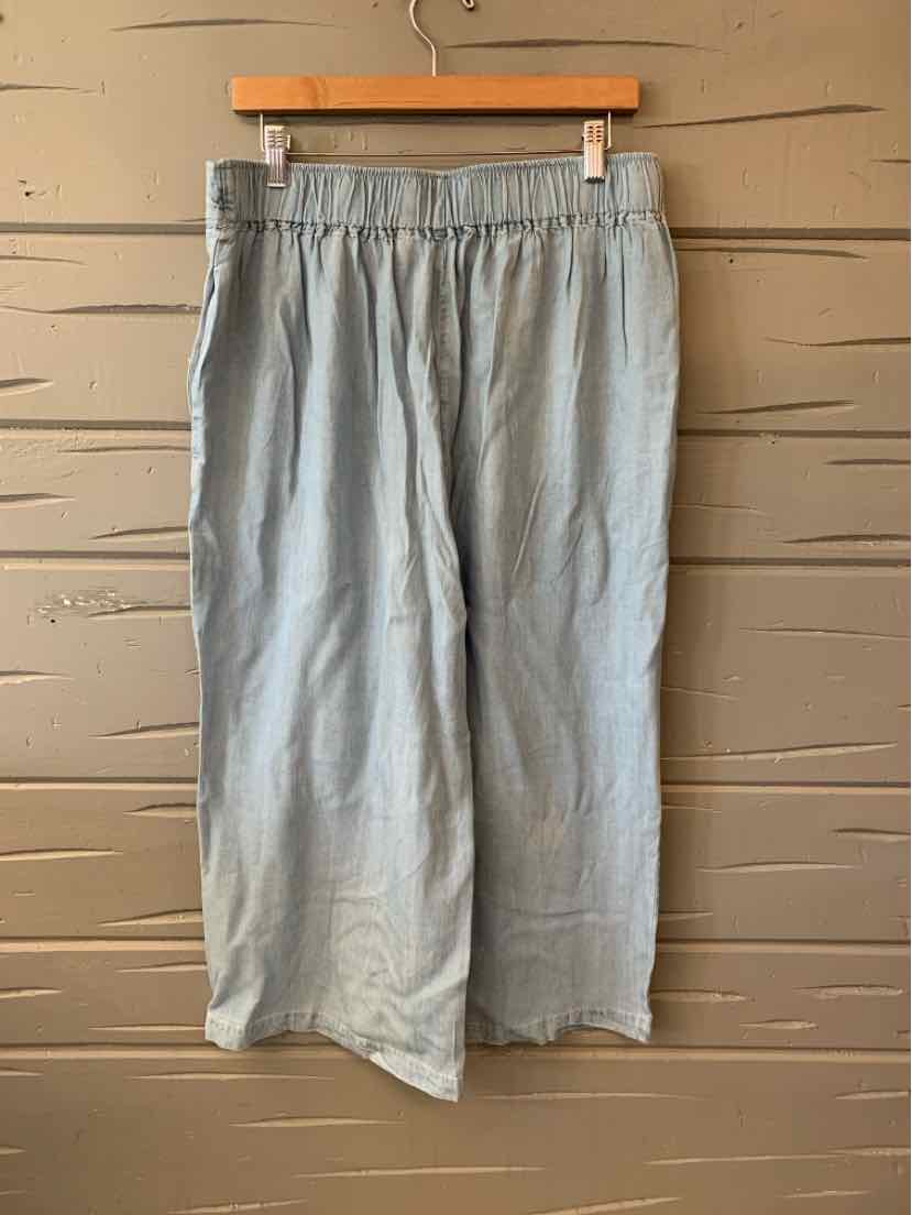 Light blue wide-leg chambray pants with elastic waistband and cropped length.