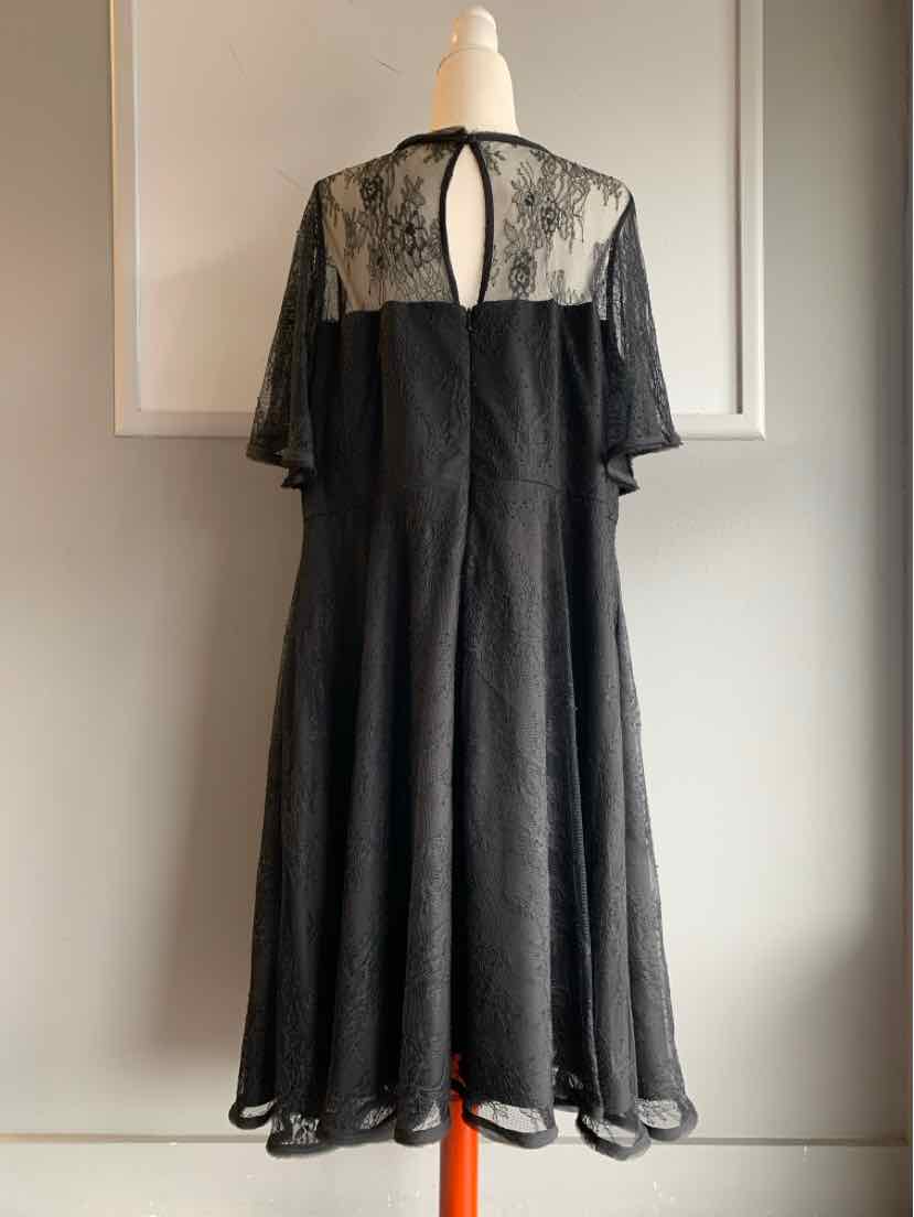 Black lace midi dress with sheer yoke, keyhole back, and flutter sleeves.