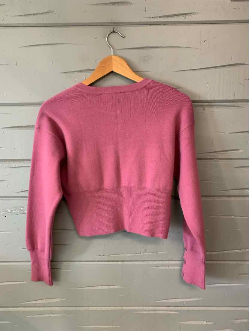 Pink long-sleeve cropped knit sweater with a wide ribbed hem and cuffs, hanging on a wooden hanger.