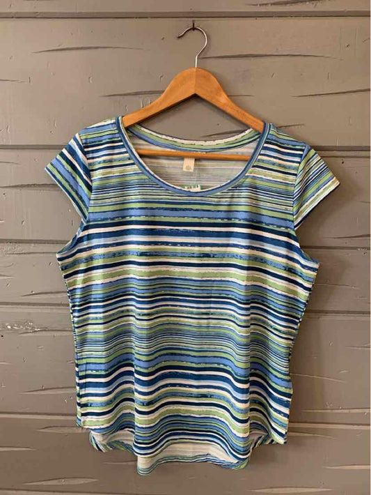 Blue and green striped short-sleeve scoop neck blouse in large size on wooden hanger.