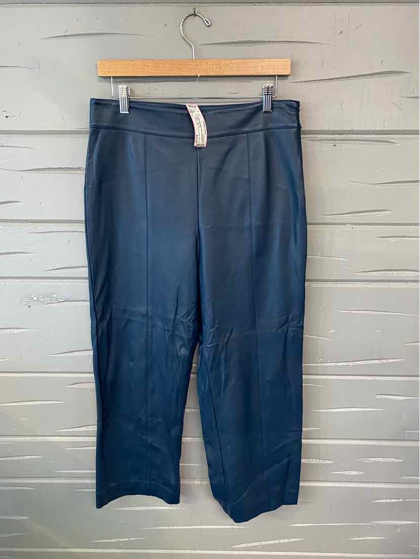 W ANN TAYLOR BL Size 6 P