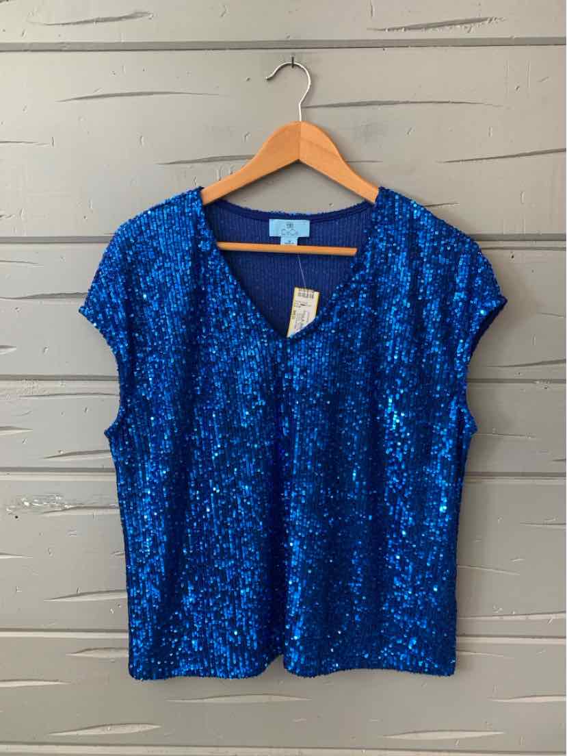 Blue short-sleeve sequin top with V-neck, relaxed fit, hanging on wooden hanger against a light wall.
