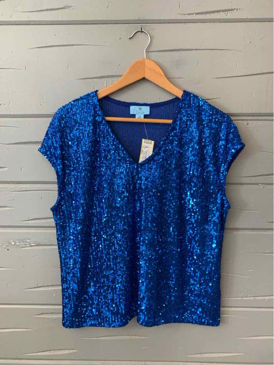 Blue short-sleeve sequin top with V-neck, relaxed fit, hanging on wooden hanger against a light wall.