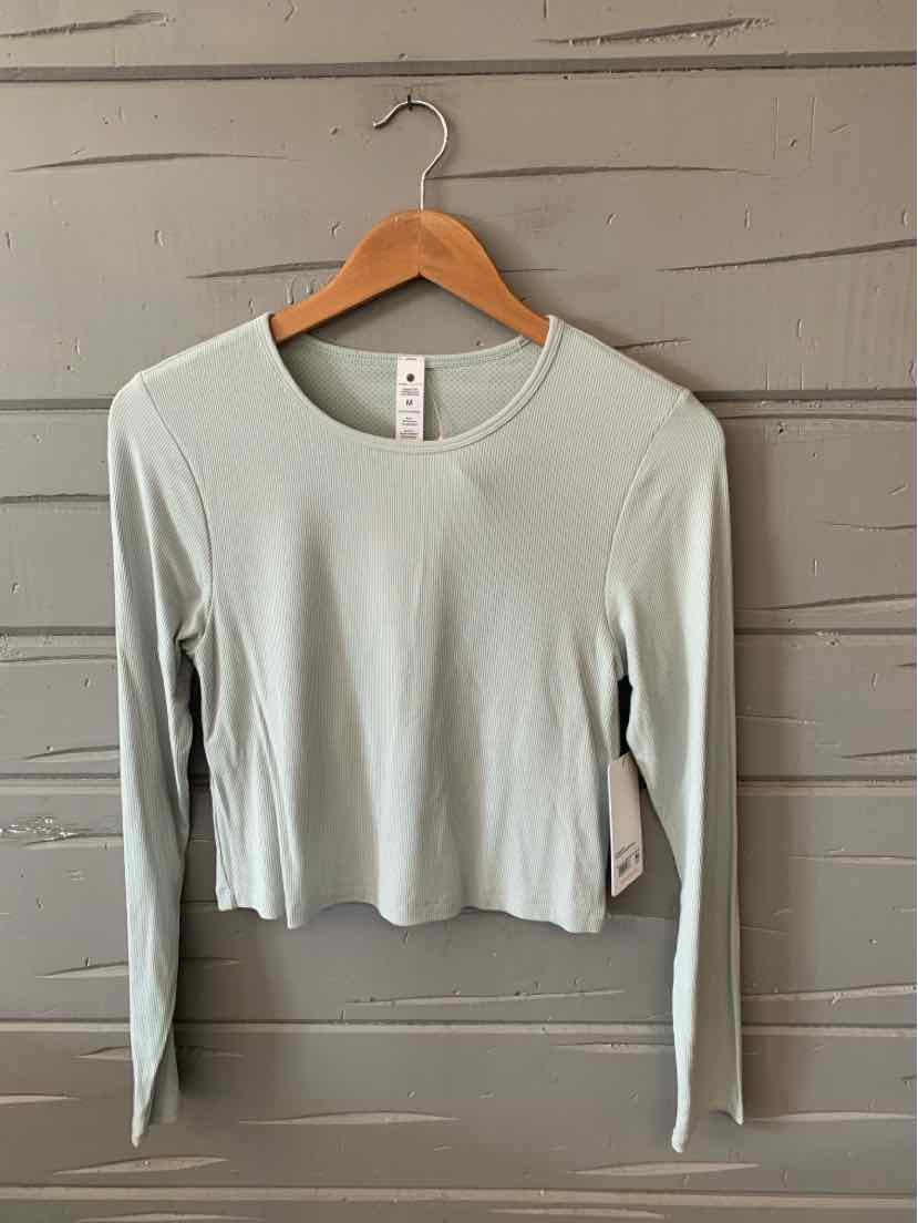 Mint green ribbed long-sleeve crop top with crew neckline hanging on wooden hanger against gray wooden wall.