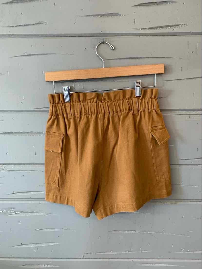Tan high-waist shorts with elastic waistband and side pockets hanging on wooden hanger against gray wall.