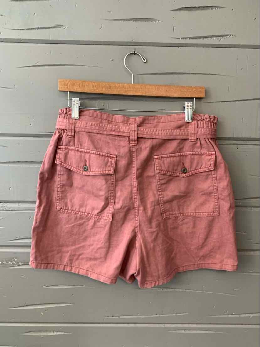 Rust-red high-waisted cotton shorts with back flap pockets hanging on wooden hanger.