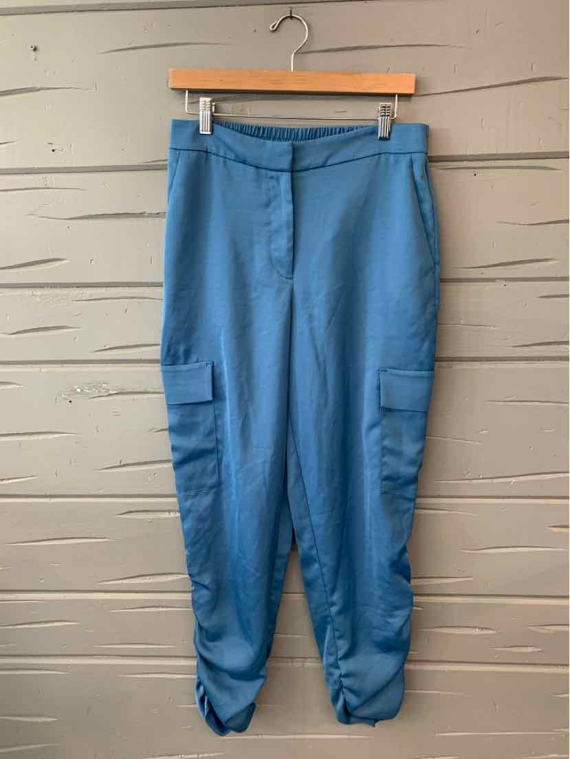 Blue satin cargo pants with side pockets and ruched hems, size medium, hanging on wooden hanger.