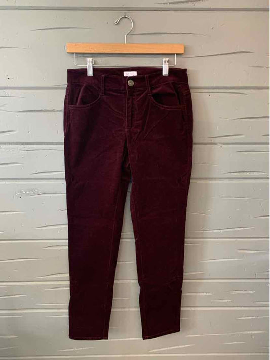 W JJILL BURG Size 2 P