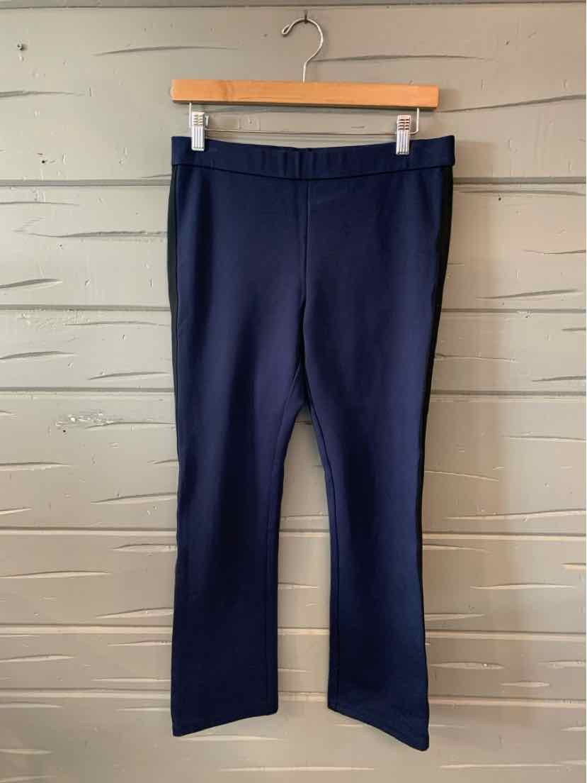Navy blue mid-rise athletic pants with straight legs hanging on wooden hanger.