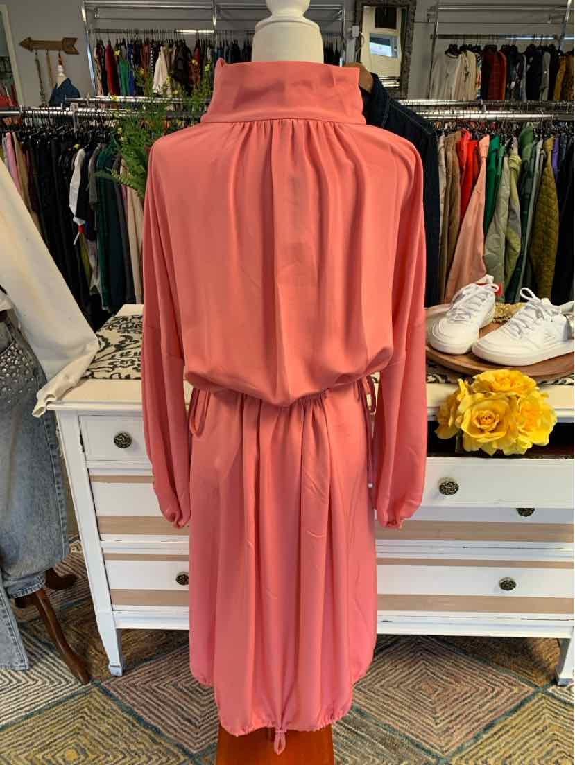 Coral pink long-sleeve dress with high collar and gathered waist belt on mannequin.