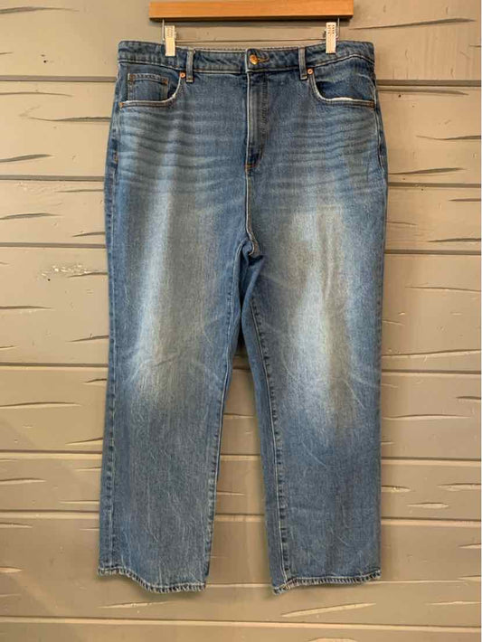 W LOFT BL Size 14 J