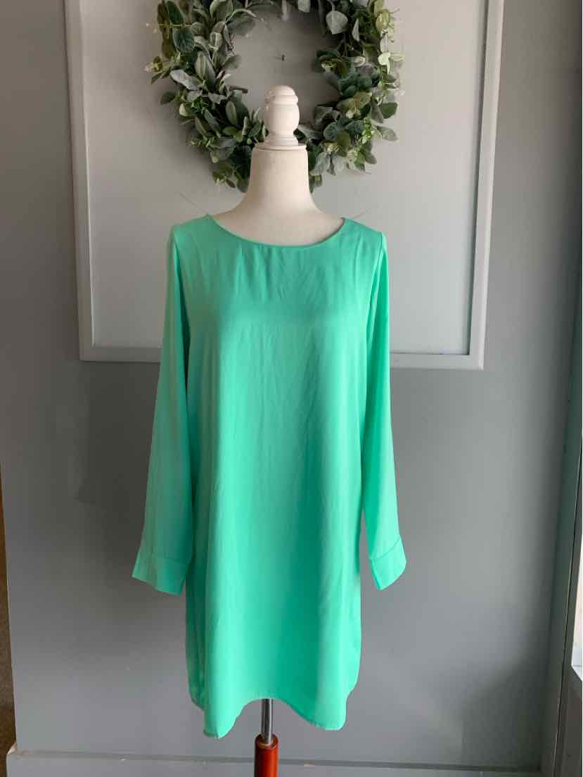 Mint green long-sleeve knee-length dress with round neckline on a mannequin.