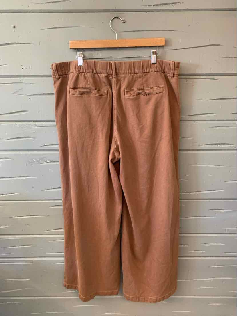 Brown wide-leg pants with back welt pockets and a gathered elastic waistband.