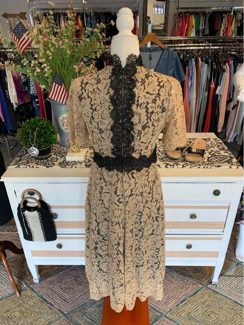 Nude lace dress with black floral lace trim along center and waist, short sleeves, and scalloped hem.