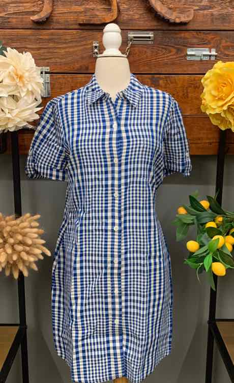 Blue and white plaid midi dress with short puff sleeves and button-down front.