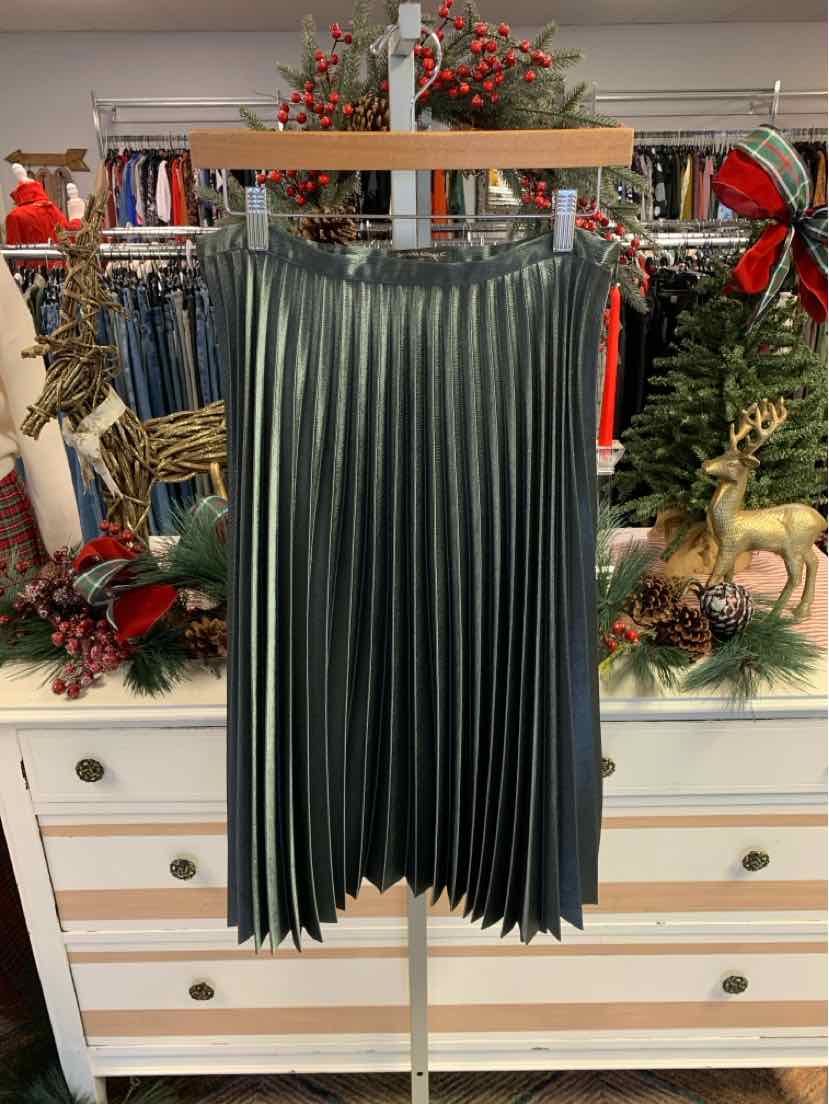 W BANANA REPUBLIC GY Size 8 SK