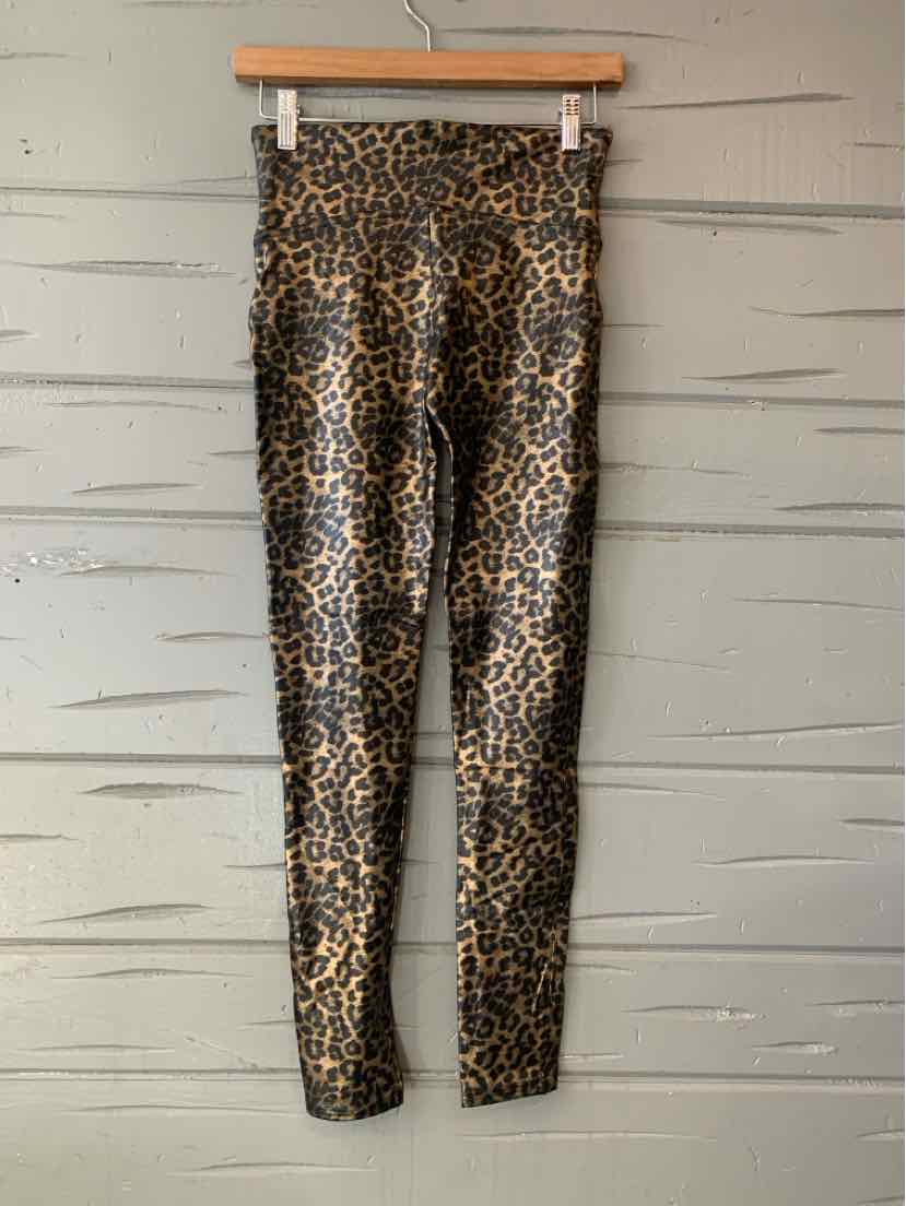 Leopard print seamless leggings with high waist in medium size hanging on wooden hanger against gray wall.