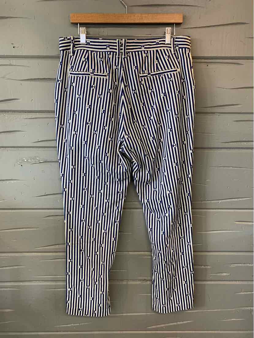 W ANTHROPOLOGIE NY Size 12 P