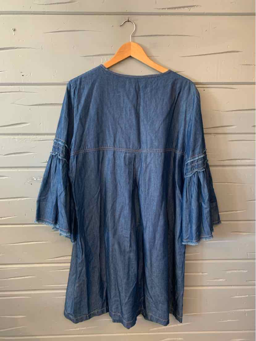 Blue chambray dress with long, wide bell sleeves and round neckline, size XL.