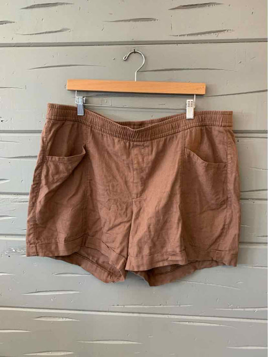 Brown solid casual shorts with front pockets, size XL, hanging on wooden hanger against textured wall.