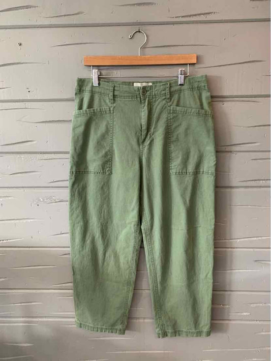 Olive green high-waist cropped pants with front pockets and belt loops, size 8.