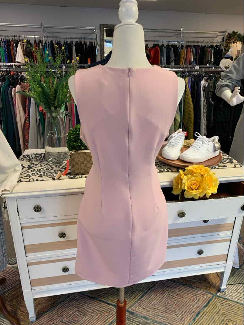 Sleeveless light pink fitted dress with back seam detail on mannequin.